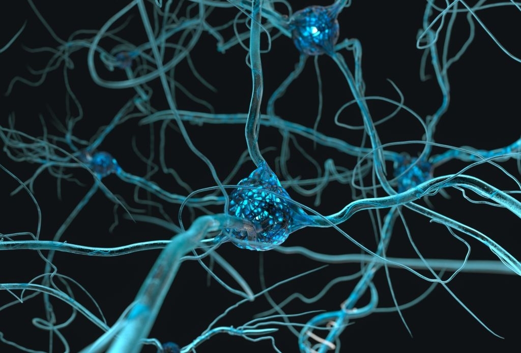 Part of the Human cerebrum with its Various Functions